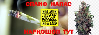 apvp Жуковский