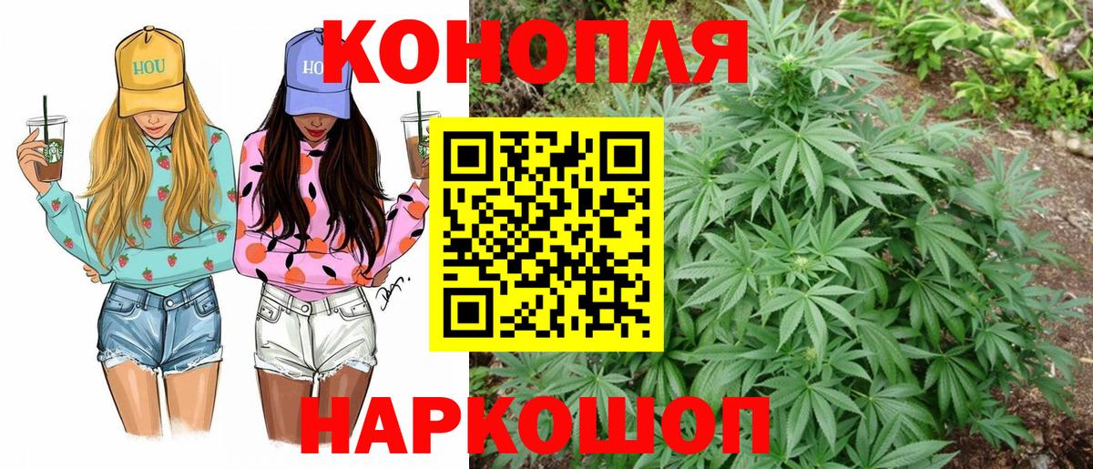 МАРИХУАНА сатива Калининград